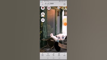 Do not dawnlode the talking angela app there is a hacker inside Angela