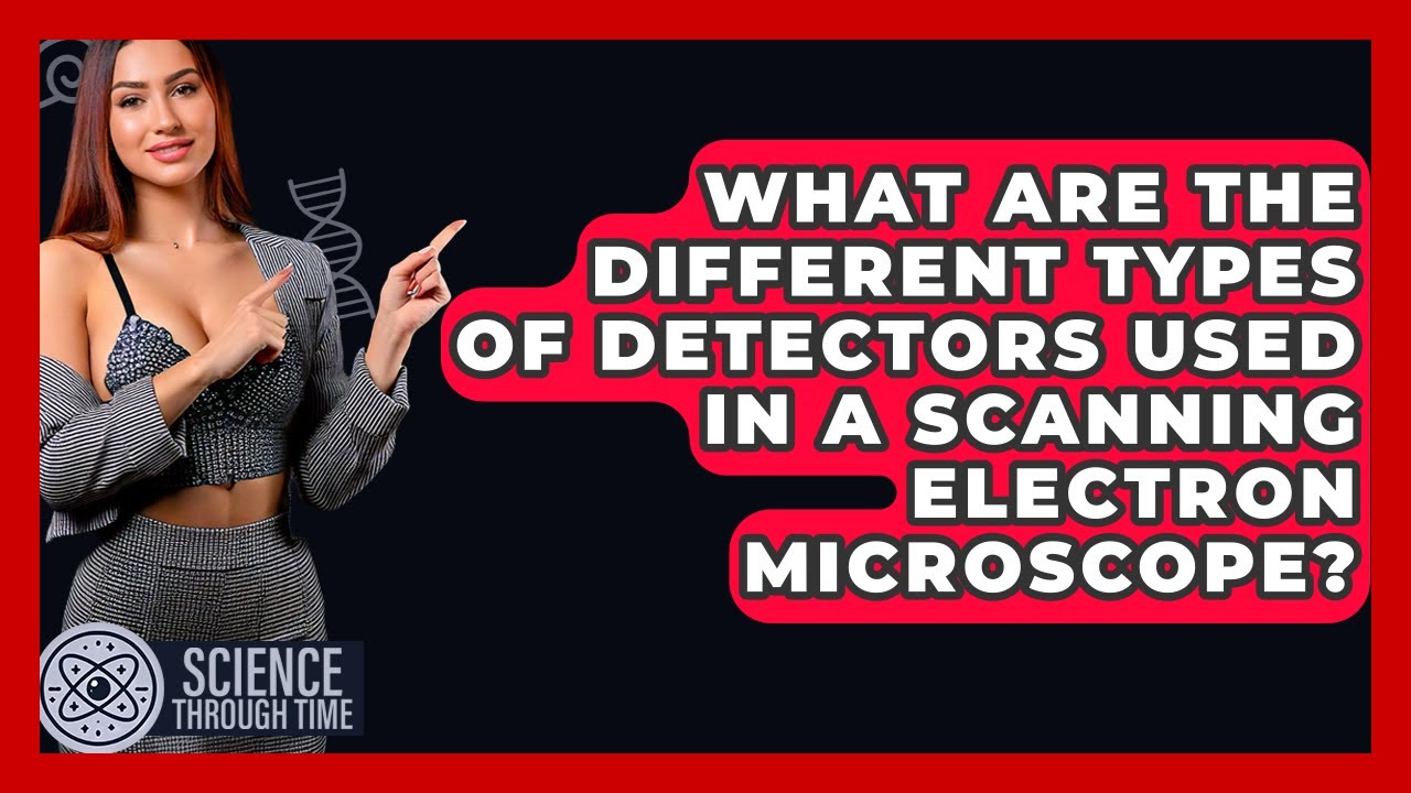 What Are The Different Types Of Detectors Used In A Scanning Electron Microscope?