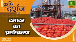 कृषि दर्शन : टमाटर का प्रसंस्करण   | Krishi Darshan | September. 07, 2022 screenshot 4