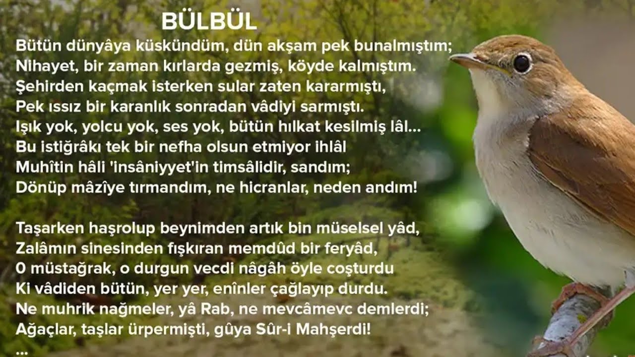 M. Akif'in Bülbül Şiiri Niçin Yazıldı? - YouTube