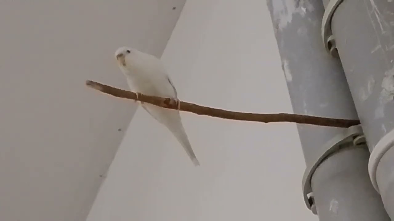 24 февраля 2026 г.