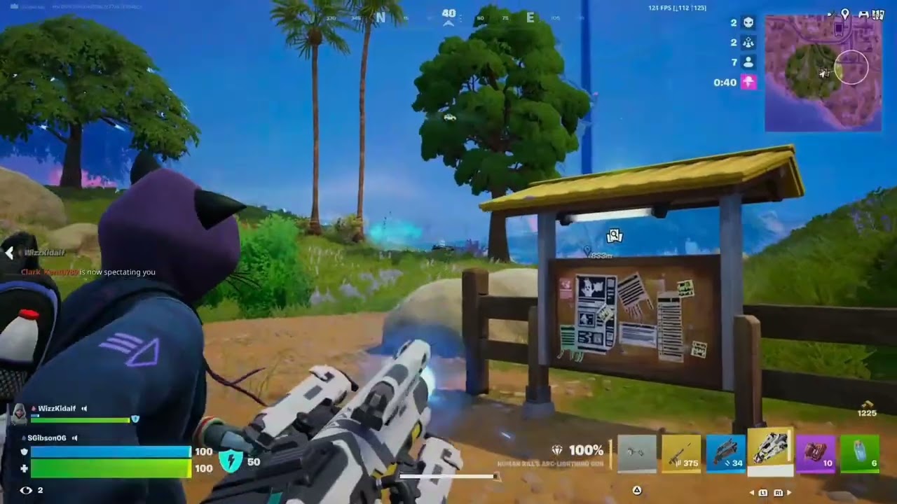 Kitty Kitty I'm a Cat