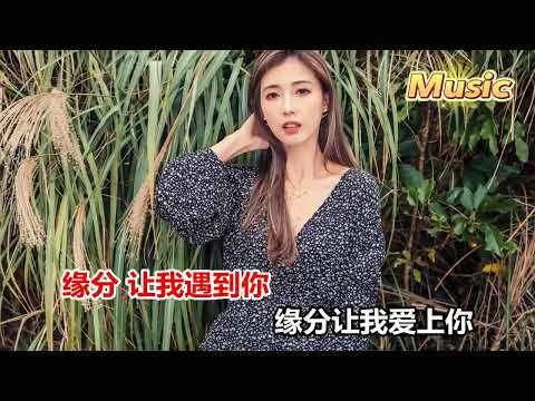 高安 思思念念全是你 KTV 伴奏 no vocal 無人聲 music 純音樂 karaoke 卡拉OK 伴唱 高安 思思念念全是你