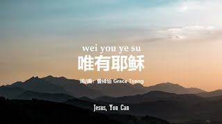 唯有耶稣 Jesus, You Can | PinYin Worship Song