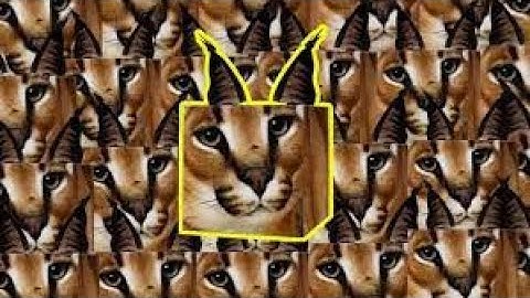 Raise A Floppa Roblox In A Nutshell