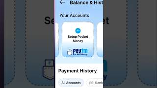 Paytm Pocket Money Feature Setup Kaise Kare 🔥 | New Paytm Feature 2026