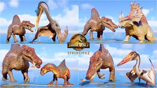 SPINOSAURUS SHARES FISH WITH OTHER DINOSAURS AND REPTILES | JURASSIC WORLD EVOLUTION 2