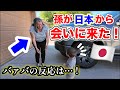 念願の再会…!日本からアメリカの家族に会いに行ったら、反応が素晴らしかった。