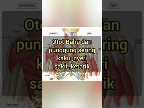 Otot bahu punggung sakit #shorts #massage #viral #hot #pijat #pain #totoksyaraf #trending