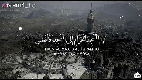 القارئ/ صلاح الهاشم