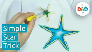 Christmas Science Experiment: Toothpick Stars