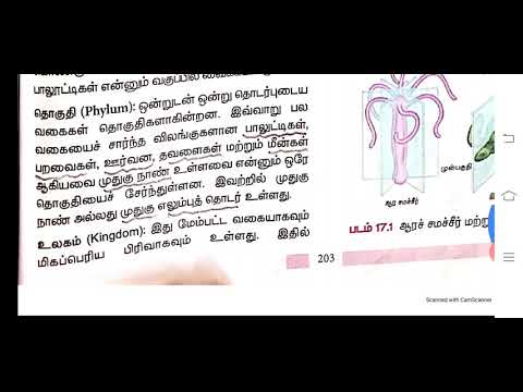 9th அறிவியல் (விலங்கியல்) | அலகு - 17| விலங்குலகம்