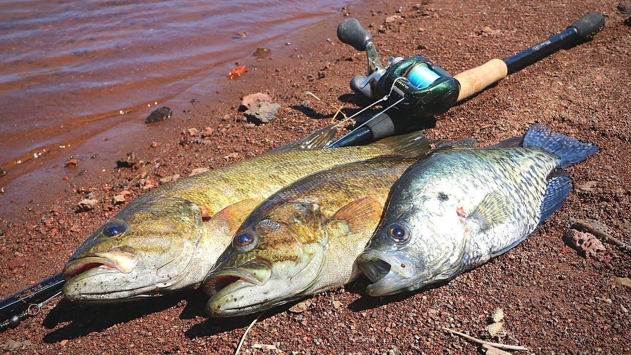 Catch n' Cook Bass & Crappie at Mountain Reservoir!