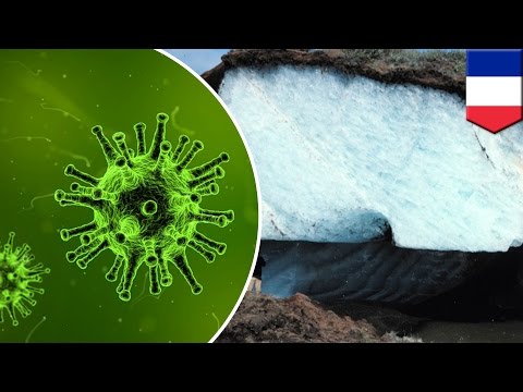 Video: Pemanasan Global Dapat Menghidupkan Semula Virus Kuno - Pandangan Alternatif