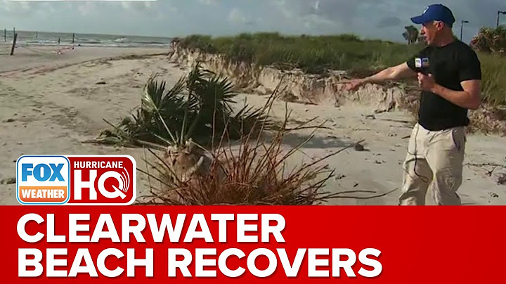 Conditions in Clearwater, FL Continue To Improve Following Idalia
