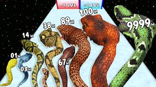 Snake Run 3D Evolution - Level Up Snake Max Level Gameplay (New Update) Snake Rush screenshot 2