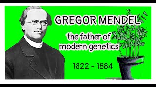 Gregor Mendel, the father of modern genetics. by NowYouKnowAbout 200 views 3 months ago 5 minutes, 11 seconds