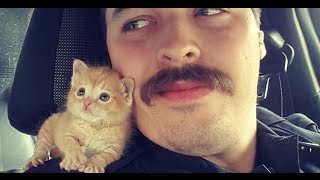 Kitten Given New Home by Mustached Cop