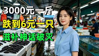 彻底崩盘！曾被吹捧上天3000块一斤的天价海参，现在跌成白菜价，6元一只随便吃！吹了几十年的滋补神话终于穿帮了，鸡蛋都比它强，普通人真的不用再交智商税了！