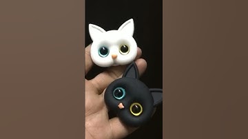 Fancy New CAT FACE 3D Eyes Popsocket Black & White #shorts #short #shortsvideo #shortvideo