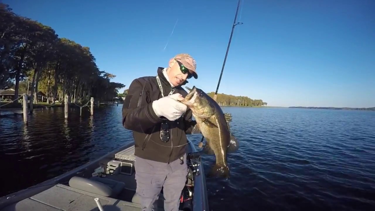 Reaction bite while Bass fishing Lake Tarpon YouTube