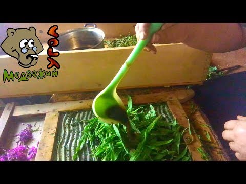 100 секретов иван-чая. СЕКРЕТ 14