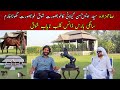 Saalki horse dance club muridke sheikhupura  syed awais hassan gillani interview pakistani horses