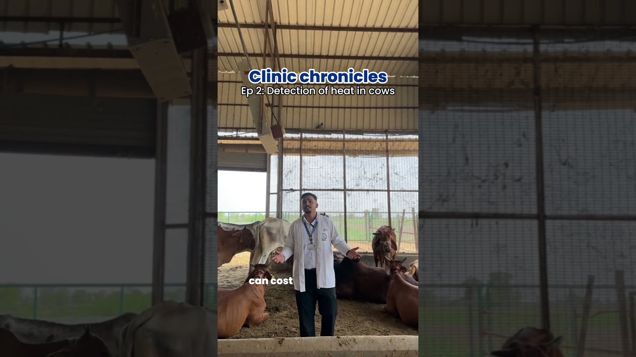 Clinic chronicles ep 2.👨‍⚕️👩‍⚕️