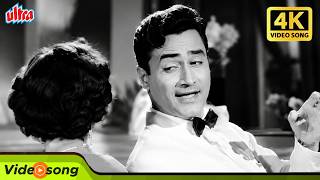 Haye Haye Haye Ye Nigaahein | Full Song 4K | Kishore Kumar, Dev Anand Superhit Song | Old HIndi Song