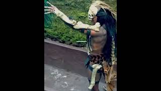 Danza traditional dance🇲🇽🥁🪶
