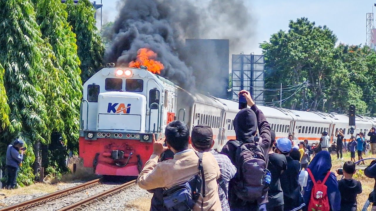 HEBOH‼️KERETA MUTIARA TIMUR TIBA-TIBA KOBONG API DI TIKUNGAN | Momen Kereta Tak Terduga di Surabaya