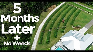 Can You Believe The Growth in ONLY 5 Months?! AND NO WEEDS!
