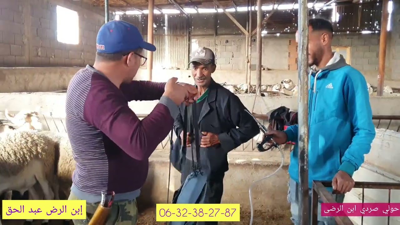 لحل نهائي المشاكل ديال الحبوب تبع هده الطريقة ناجحة 100/100 أتكلم عن تجربة