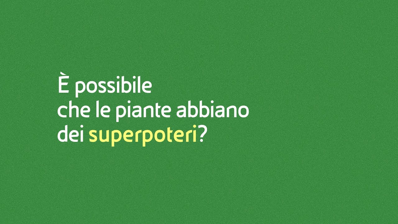 È possibile che le piante abbiano superpoteri? 