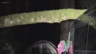 Tree falls on family’s Cannon Beach campsite