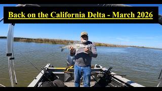 Finally Back California Delta Striper Fishing - March 2026