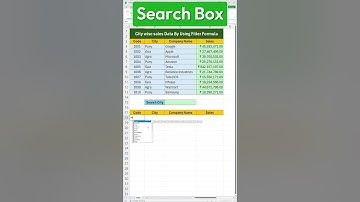 FIND Data FAST in Microsoft Excel with a Custom Search Box!