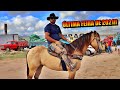 FEIRA DE CAVALO EM CARUARU PE!! HOJE BASTANTE ANIMADA NA ÚLTIMA FEIRA DO ANO!! 28/12