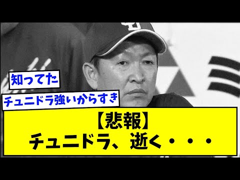 【定期】チュニドラ、逝く・・・【なんJ反応】