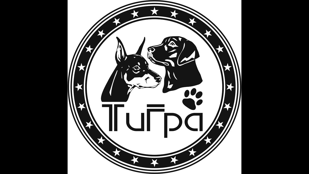 TRAINING FOR THE 110 METER HURDLES by Brooks Johnson 1part