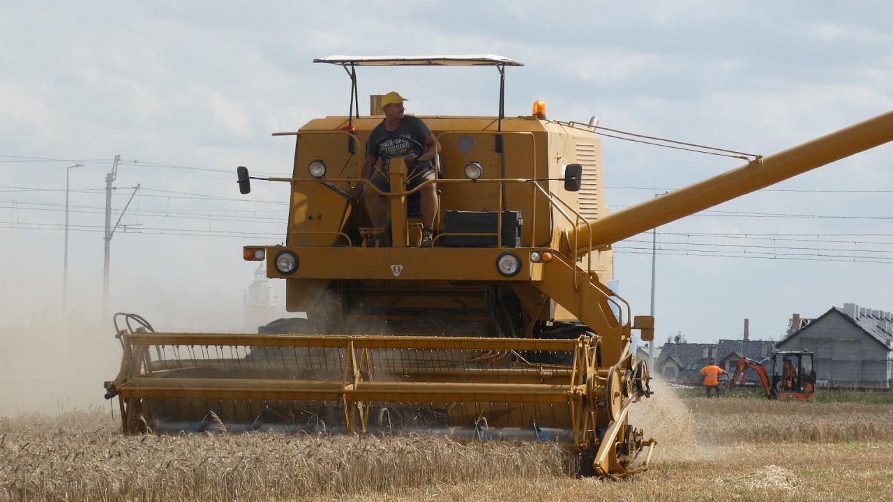 Żniwa 2024 z Bizonem 🔥Ursus C330 & C4011 🔥BIZON Z056 SUPER🔥