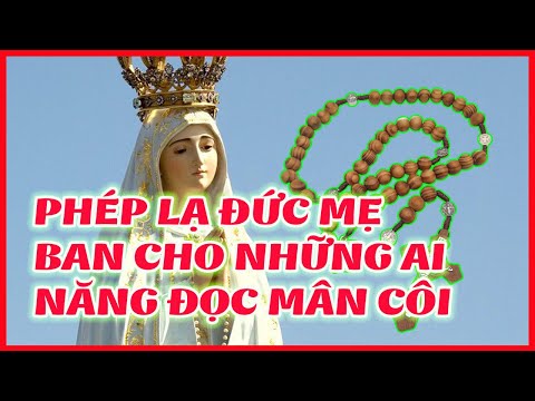 Video ???? Phép Lạ Đức Mẹ Maria Qua Những Câu Chuyện Đời Thường - youtube