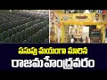 The Yellow Wave: TDP's Mahanadu Set to Enthrall Rajamahendravaram