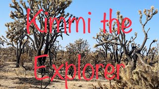 Mojave Cima Dome Fire the Aftermath