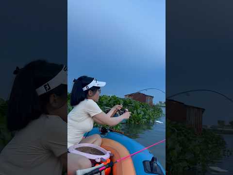 Chinh phục cá lớn sông Đồng Nai P4 #caucathiennhien #fishing #cauca #mayfishing #caucagiaitri