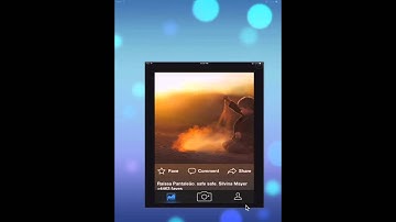 Backup Photos to Flickr