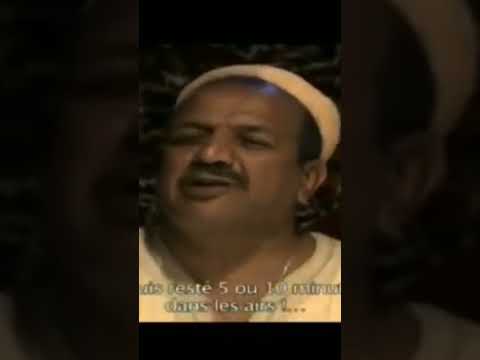 هادي ماشي سلوقية هادي دوبرمان