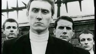 Sweet Little Contessa - Nine Below Zero