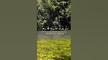 قُلْ إِنِّي أَخَافُ إِنْ عَصَيْتُ رَبِّي.... تلاوة للشيخ  ياسر الدوسري #القران_الكريم