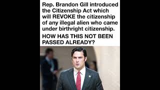 Brandon Gill’s Citizenship Act targets birthright citizenship for children of illegal immigrants,